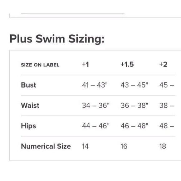 Hackwith Design House Bathing Suit Plus +1 US 14 One Piece Black White Swimsuit - Picture 11 of 11